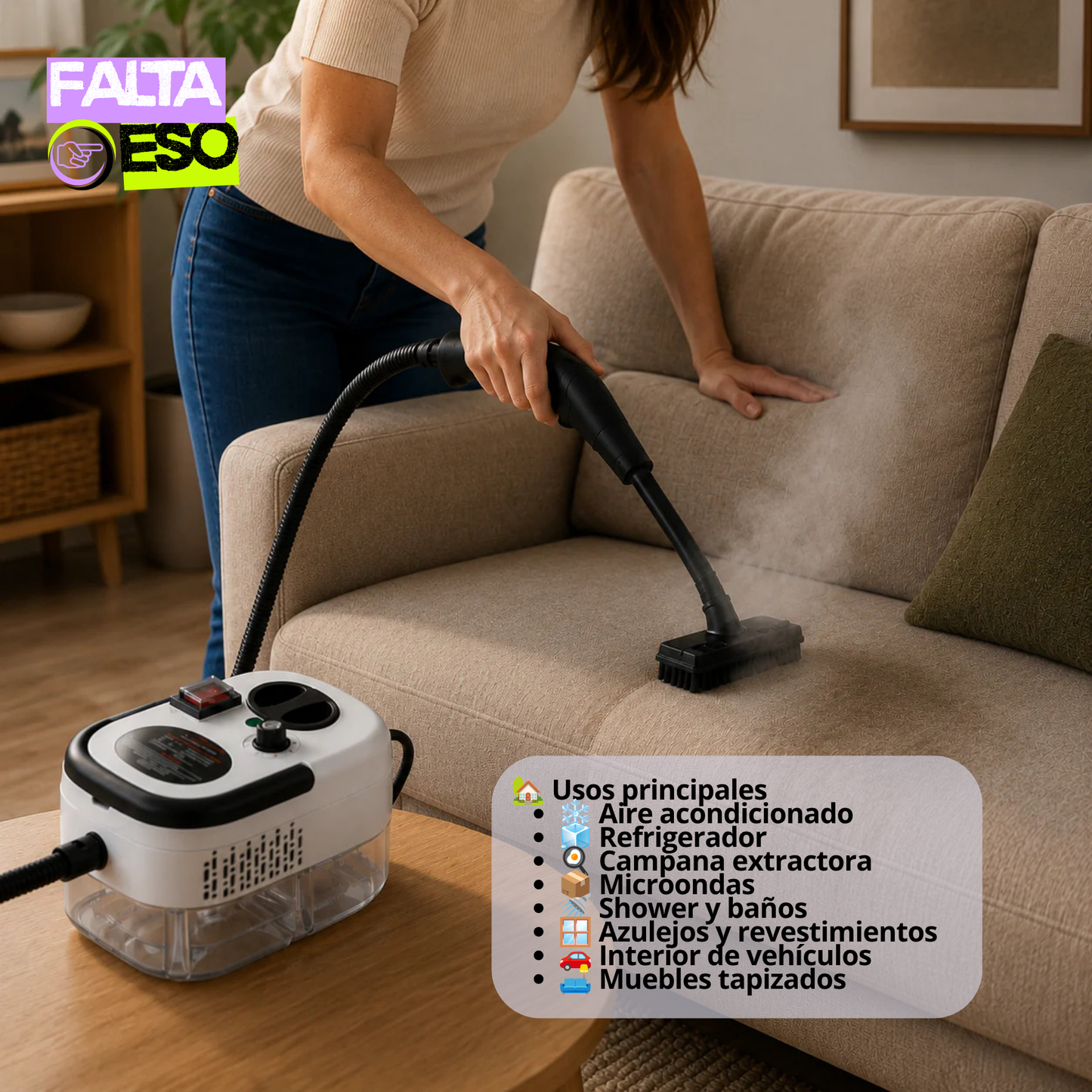 LIMPIADOR  A VAPOR POR PRESION 2500w