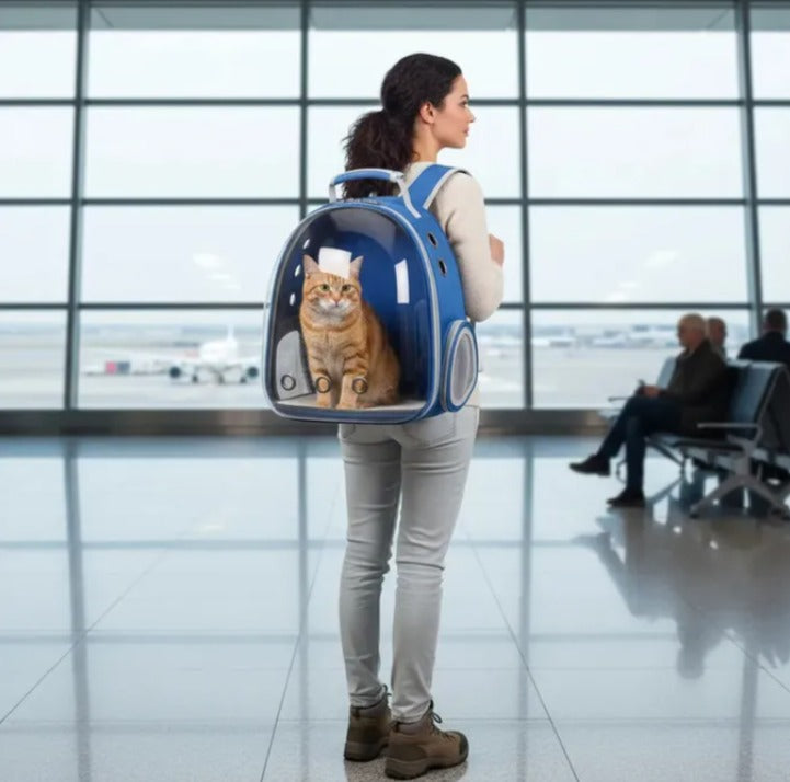 Mochila para Mascotas Color Azul